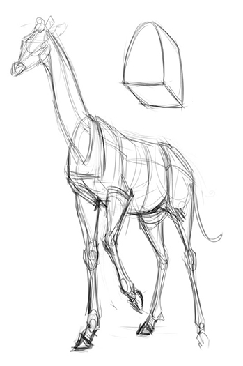 Croquis d'une girafe avec des formes simples