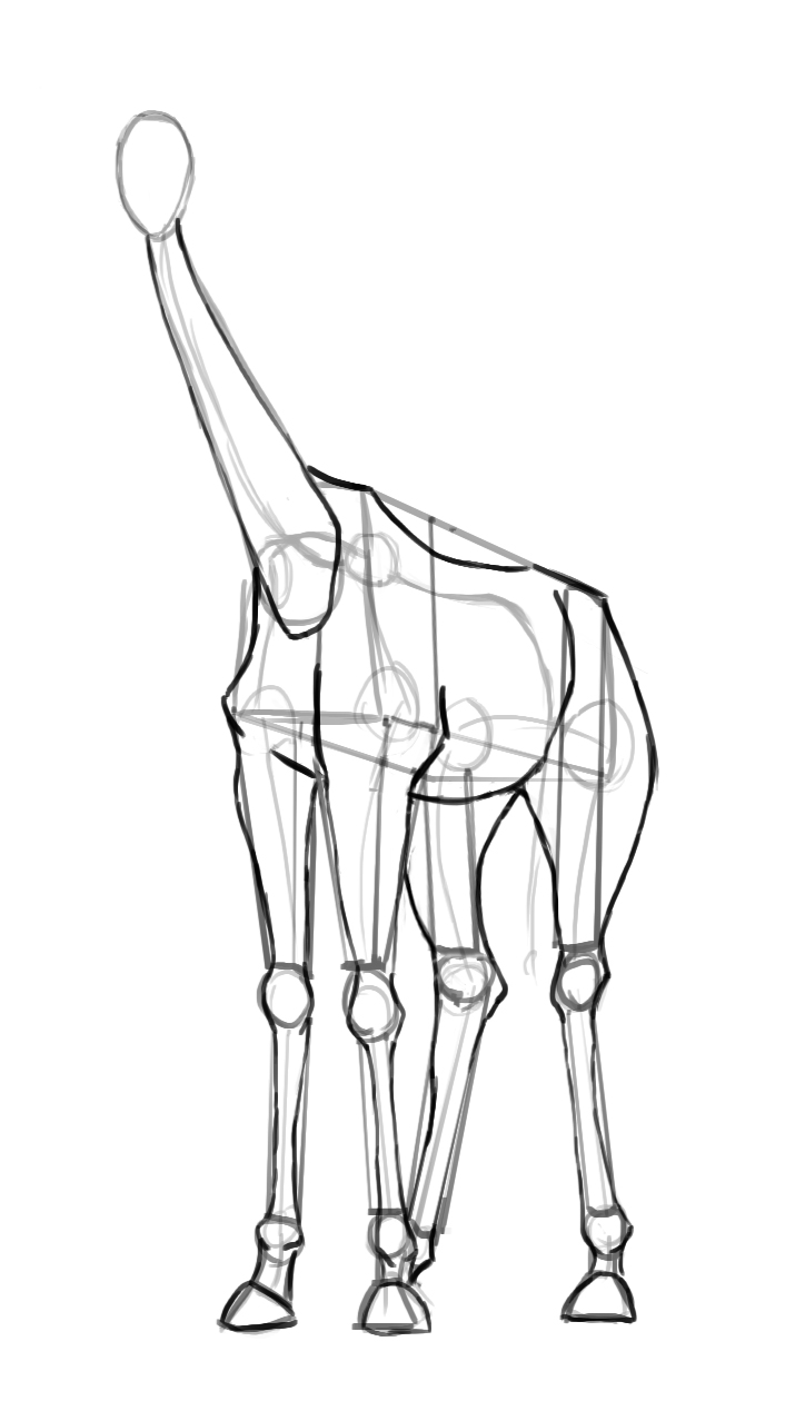 Dessiner les pattes de la girafe