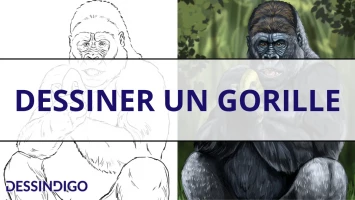 Dessiner un gorille
