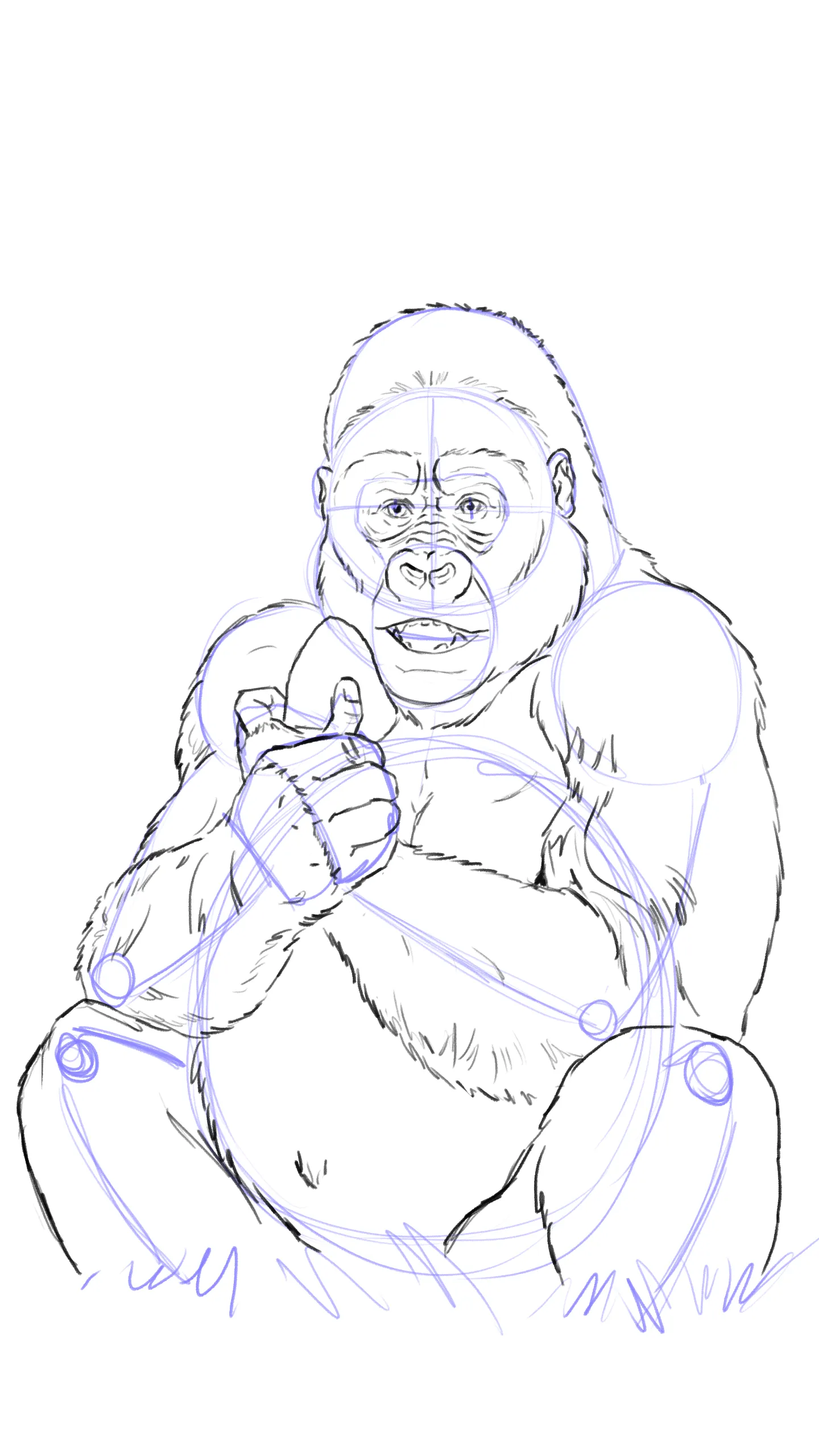dessiner les jambes d'un gorille