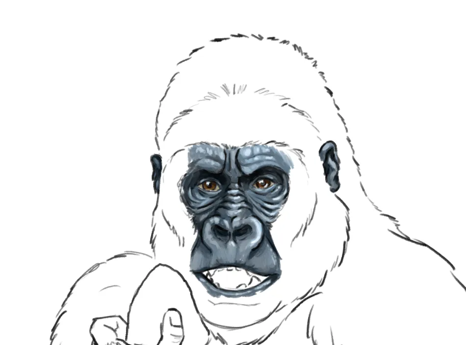 dessiner le nez d'un gorille