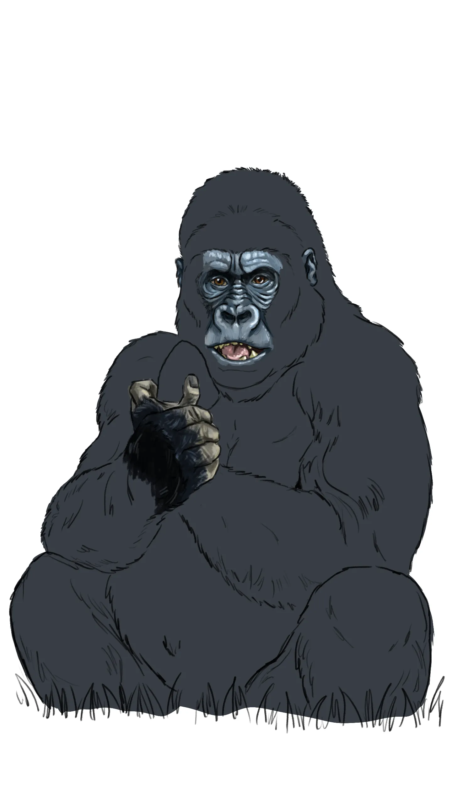 dessiner les ombres d’un gorille