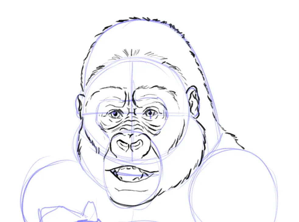 dessiner le pelage d'un gorille