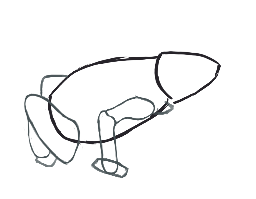 dessin des pattes de la grenouille