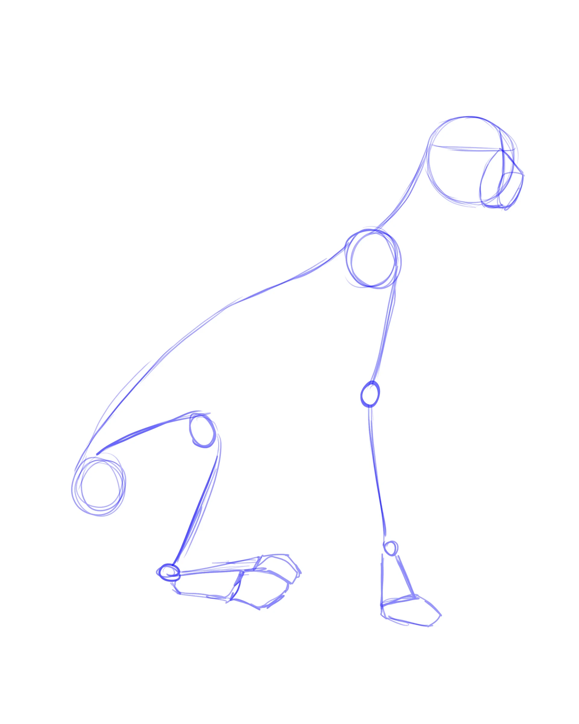 dessiner la structure d’un guépard