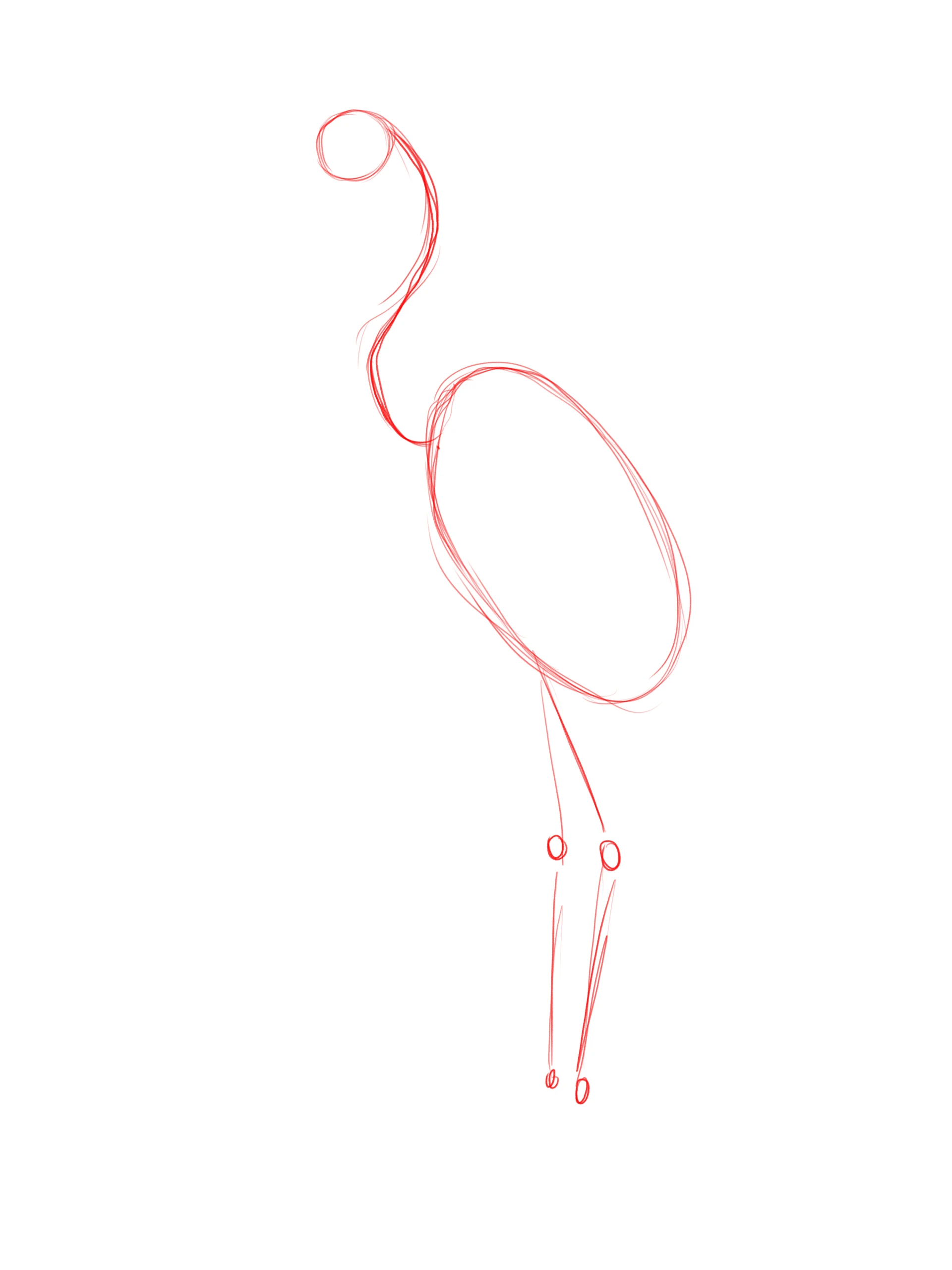 dessiner le corps d’un héron
