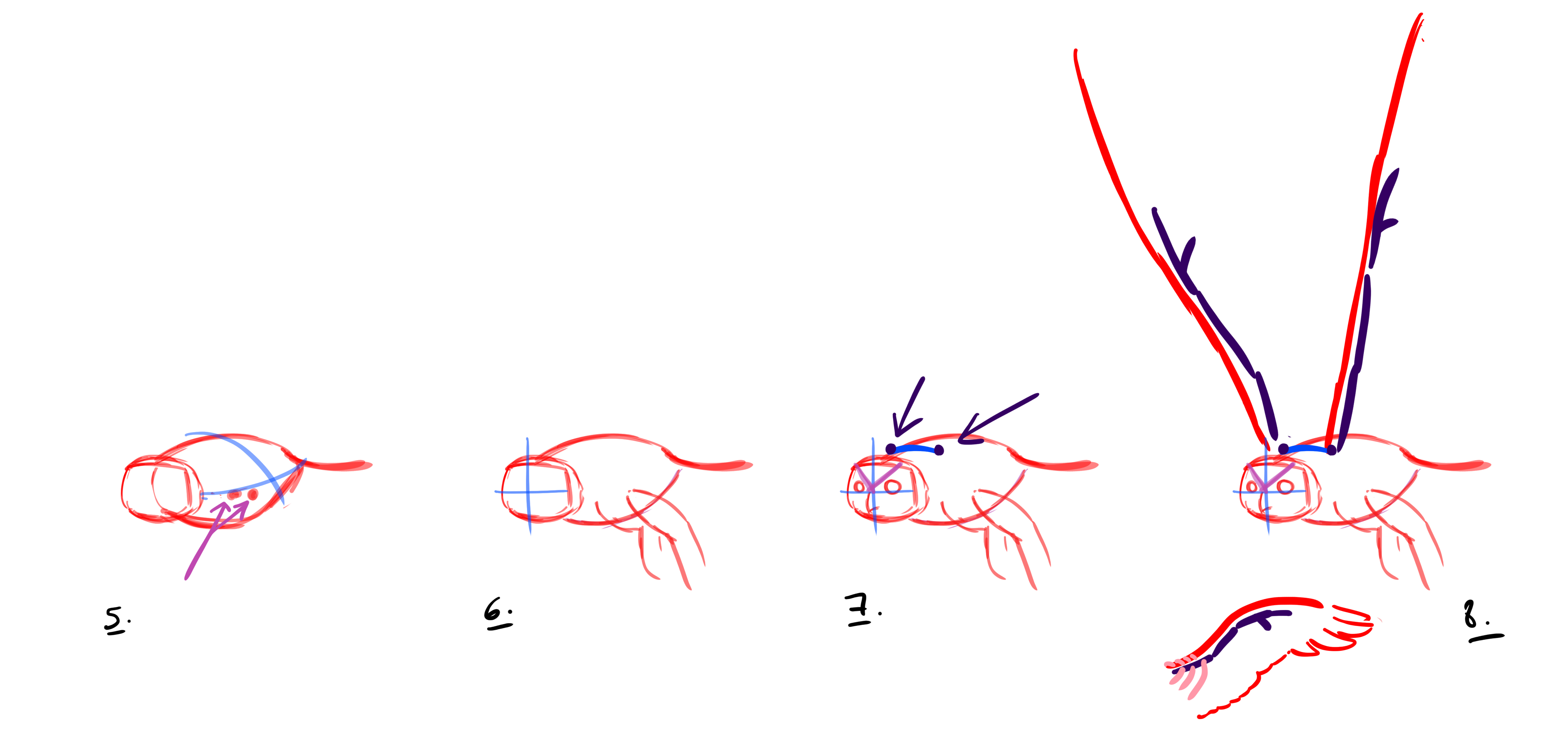 dessiner un hibou en vol étape 2