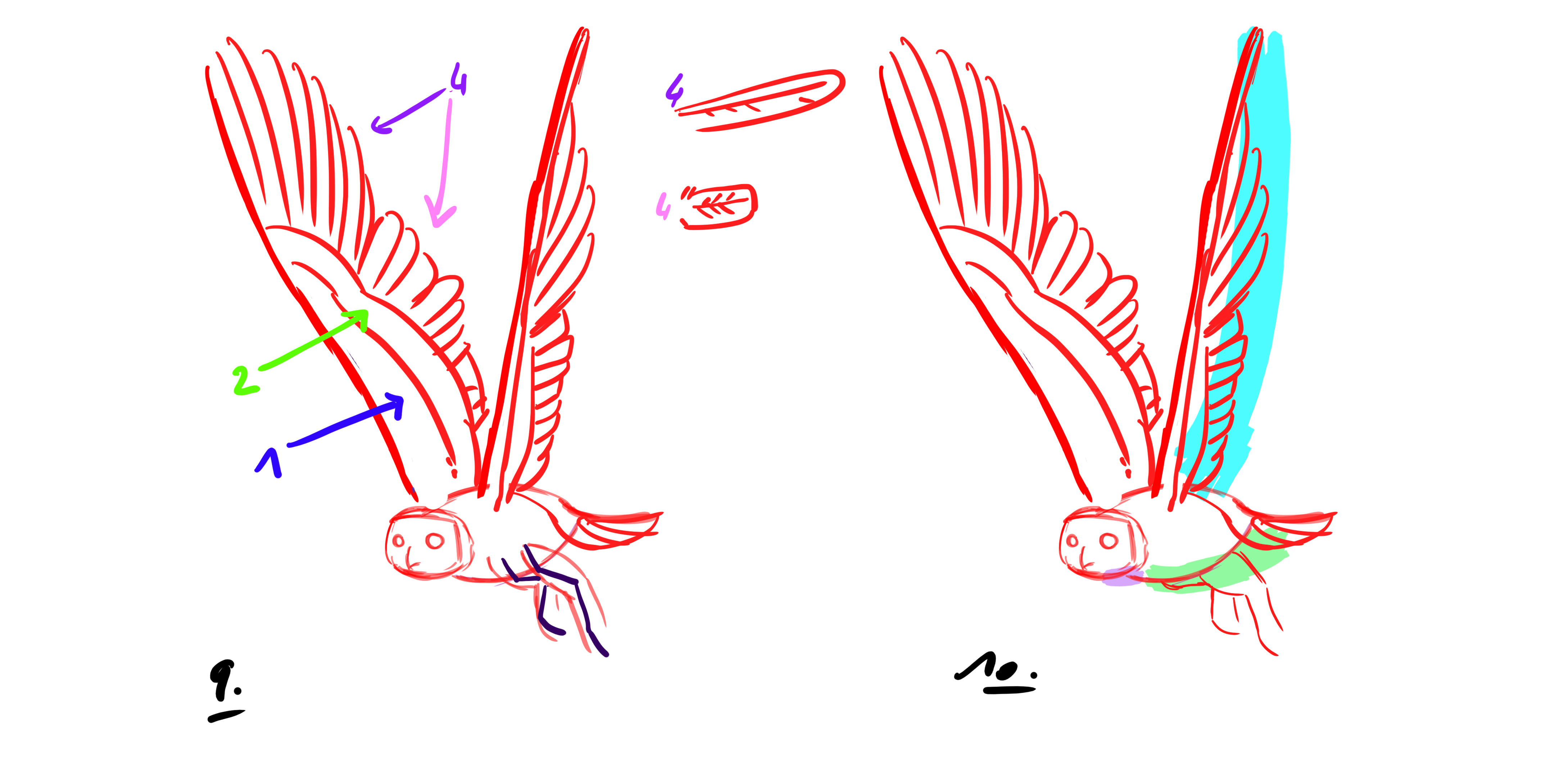 dessiner un hibou en vol étape 3