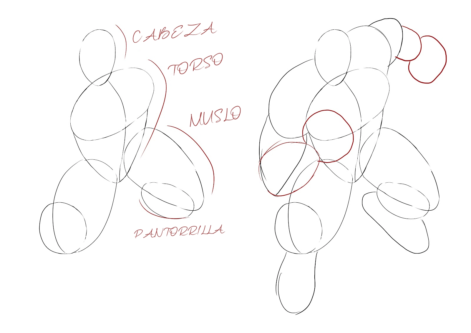 dibujar la base de las diferentes partes del cuerpo de Hulk