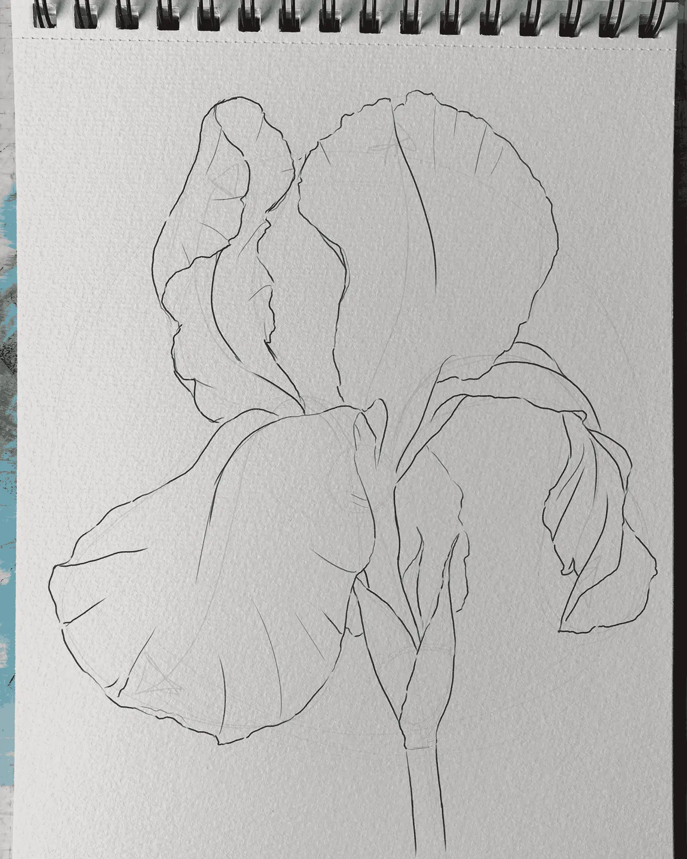 dessiner les détails d’un iris
