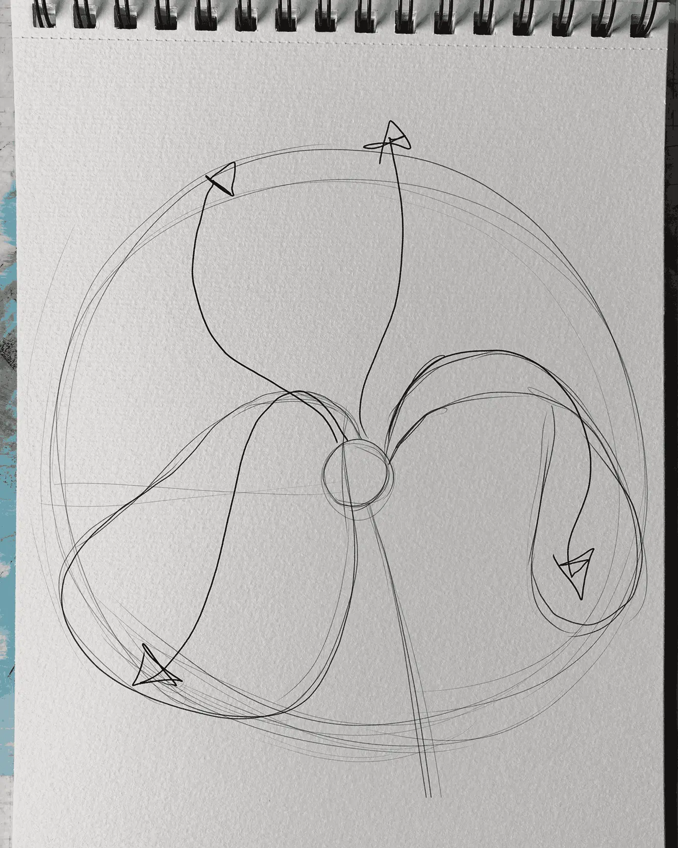 dessiner les pétales inférieurs d’un iris