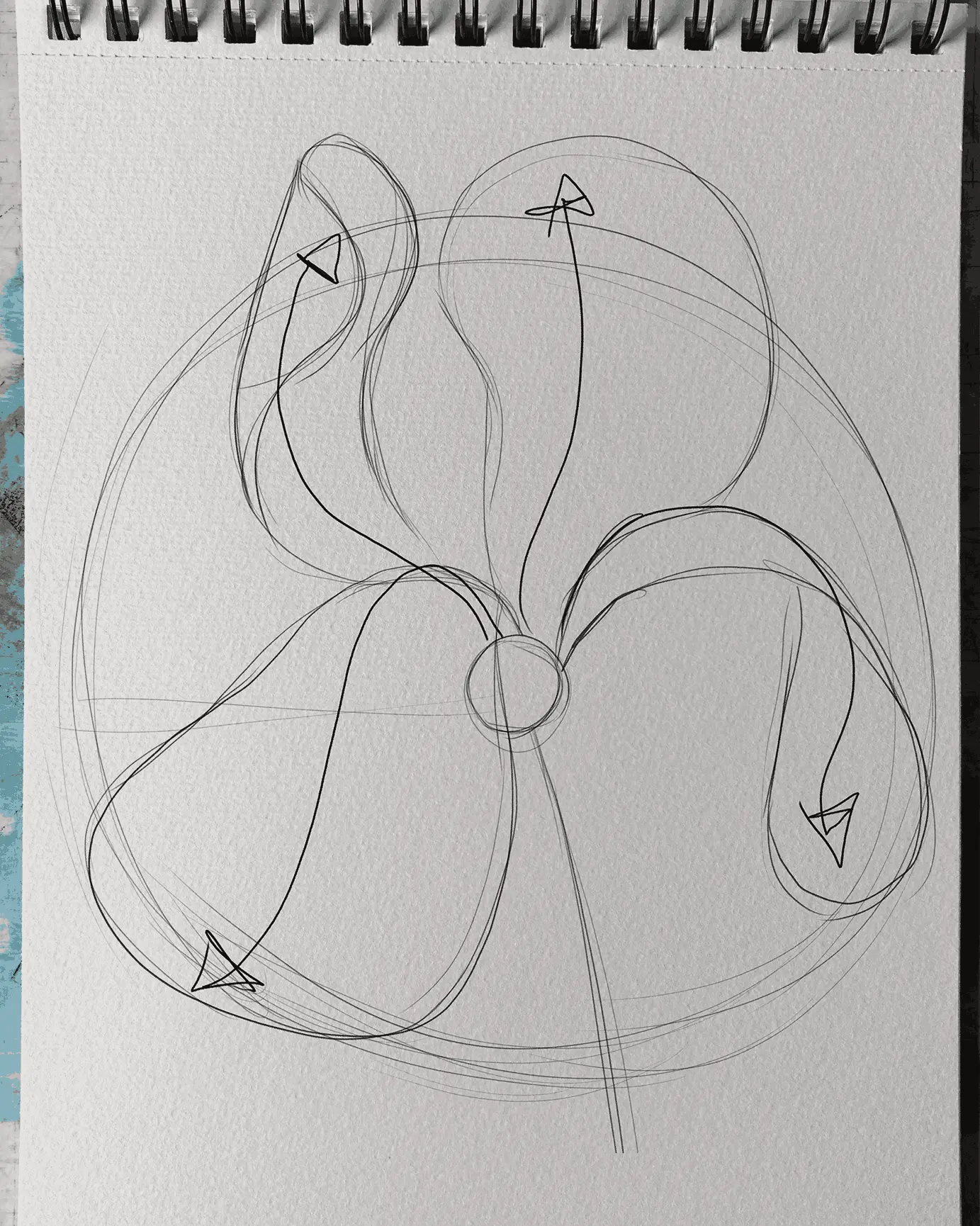 dessiner les pétales supérieurs d’un iris