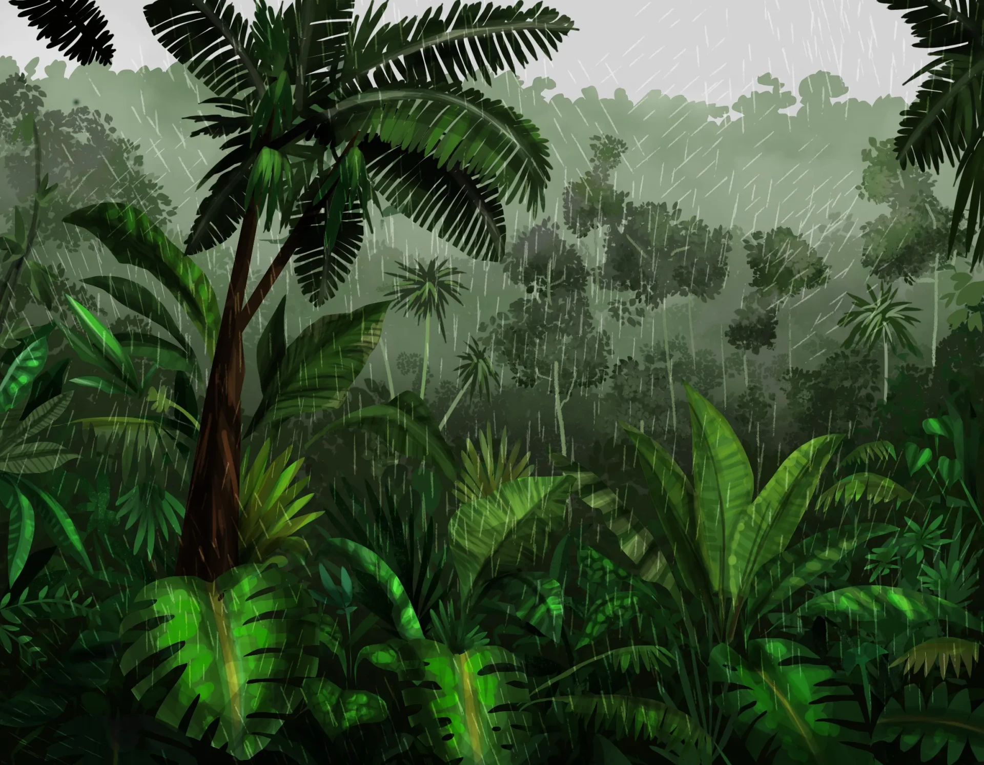 How to Draw a Jungle Landscape