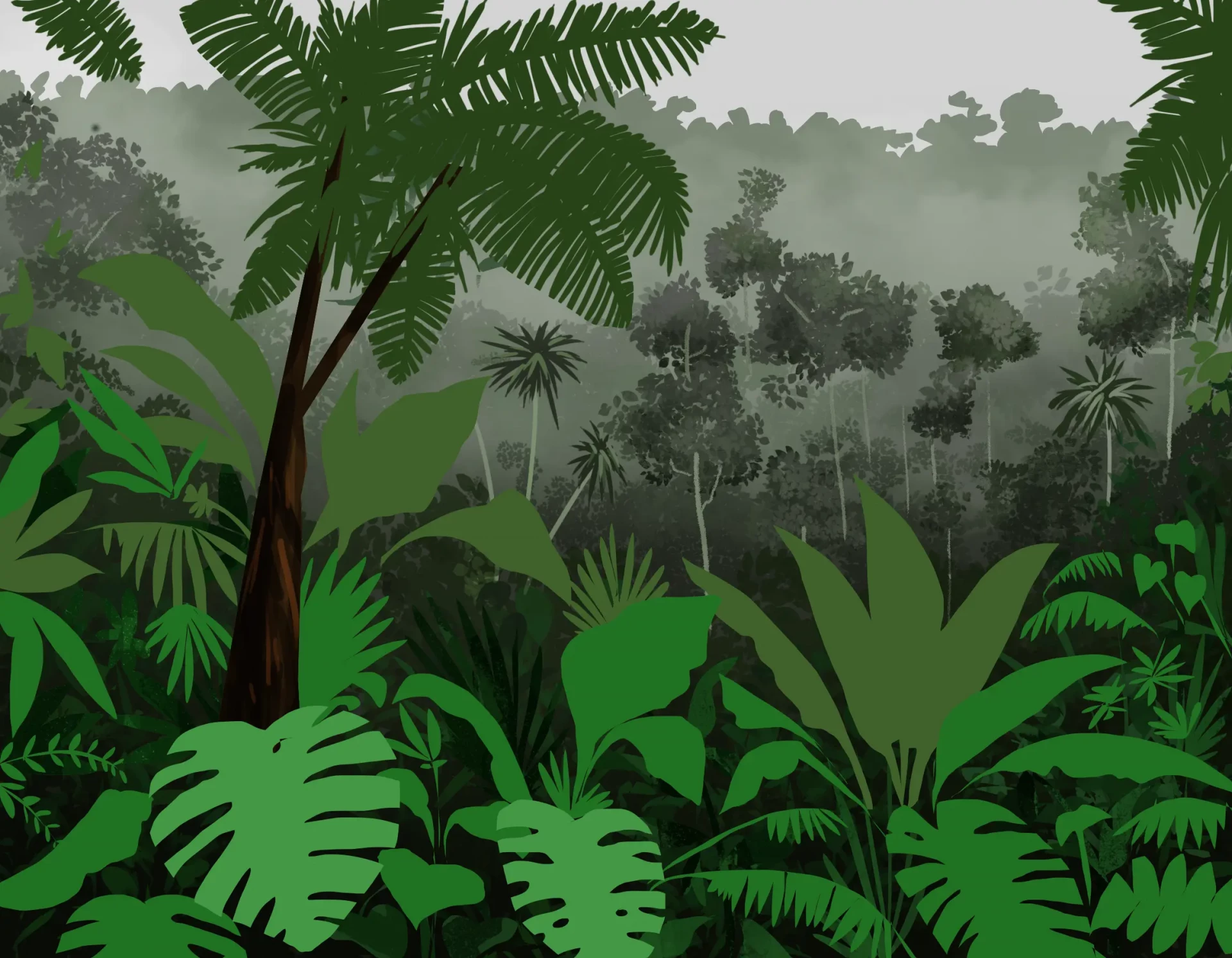 dessiner la texture de la jungle