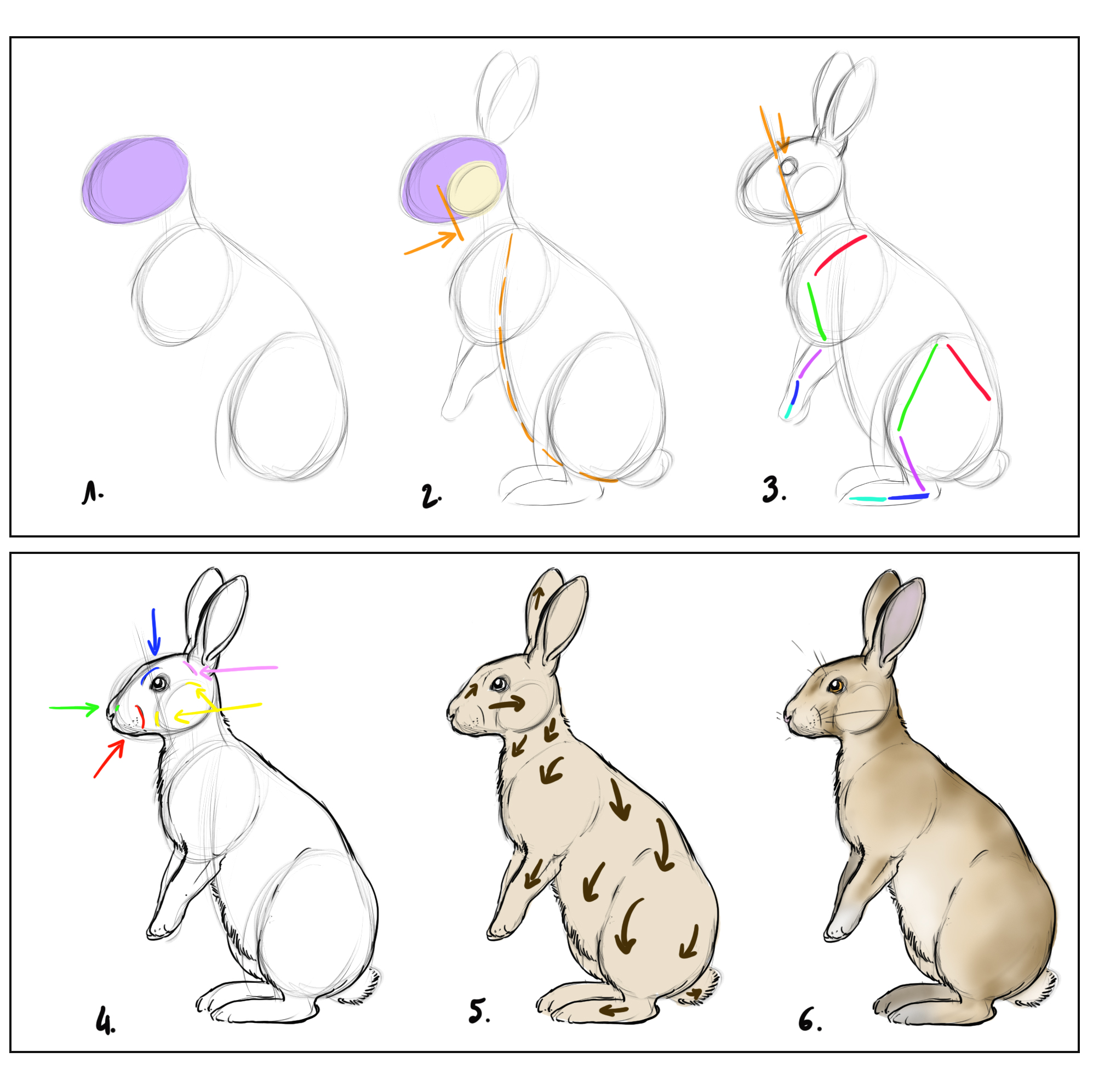 Comment Dessiner Un Lapin Facilement Comment dessiner un lapin - Blog - Dessindigo