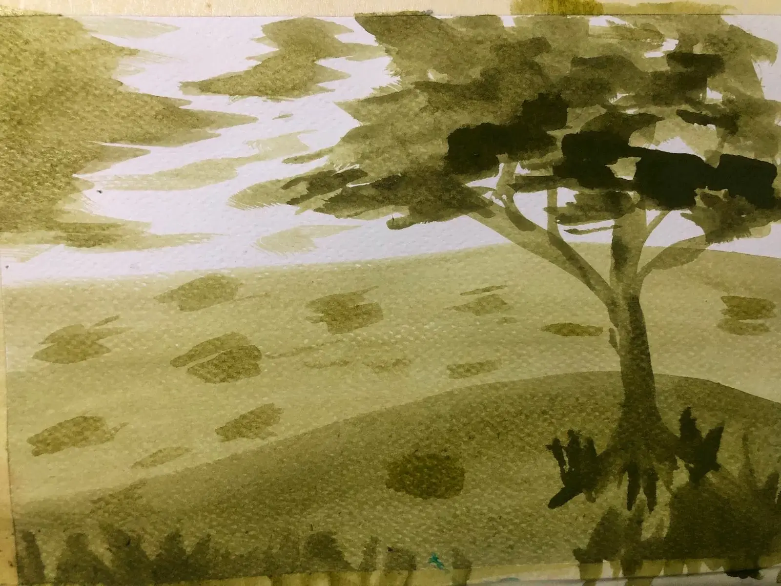 the watercolor wash technique