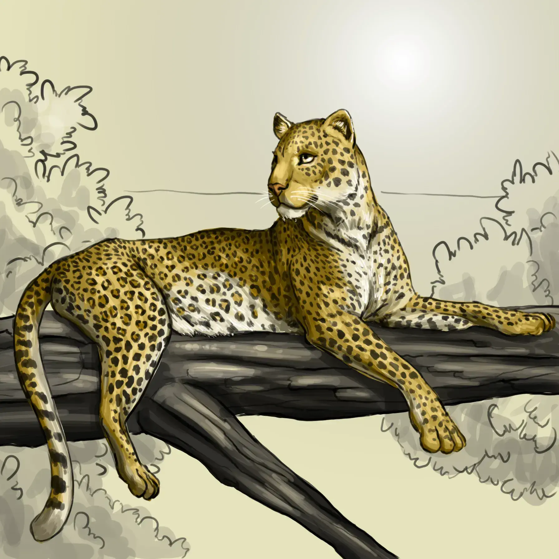 dessin de léopard