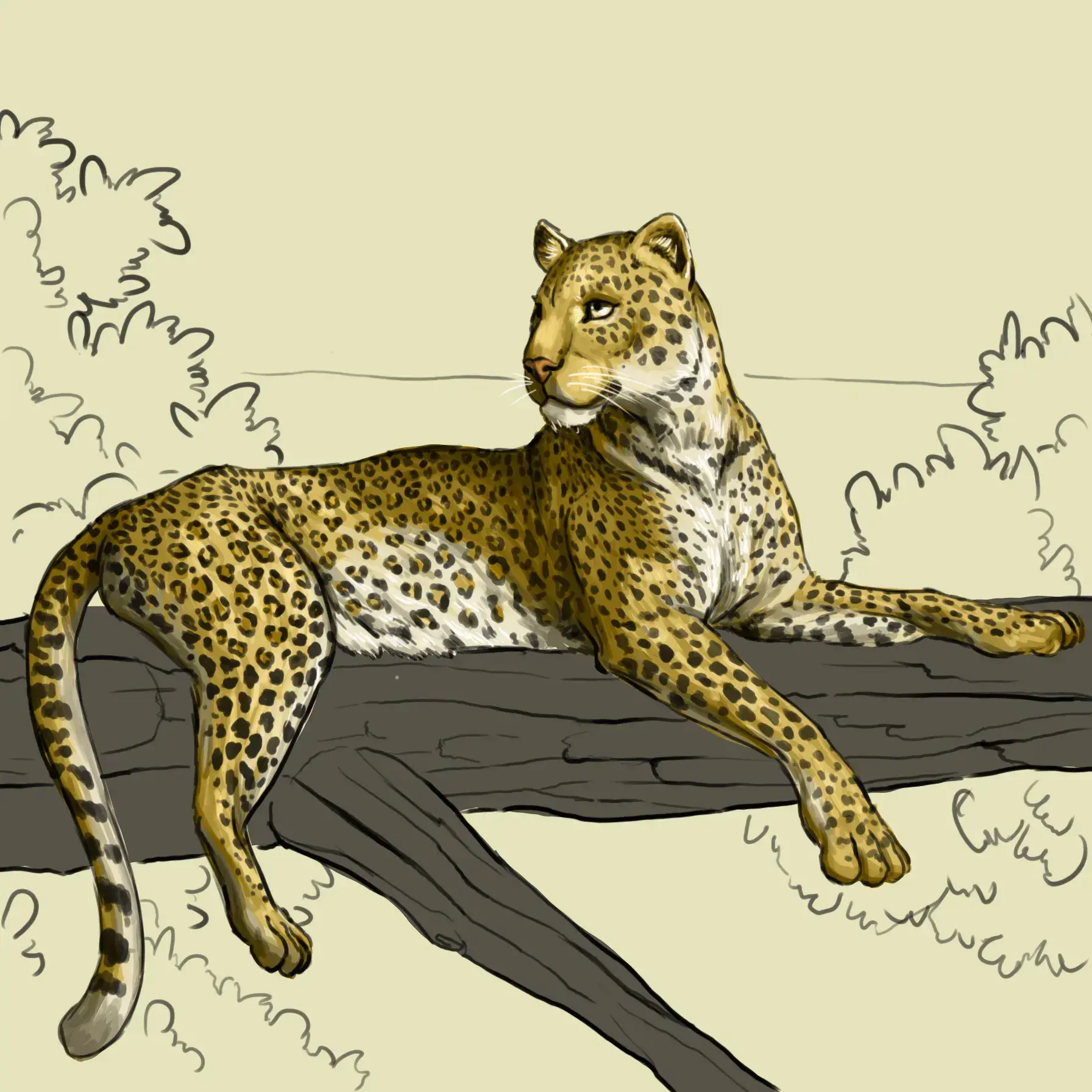 dessiner la texture d'un léopard