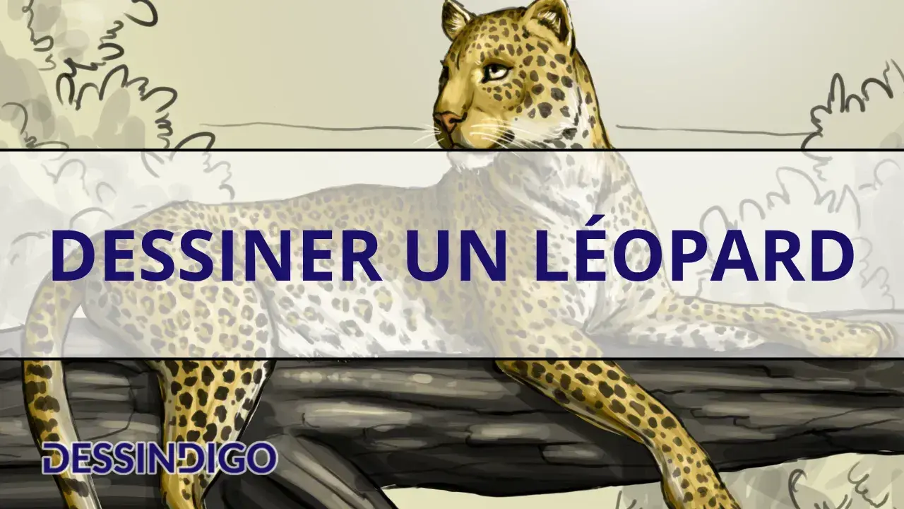 Dessiner un léopard