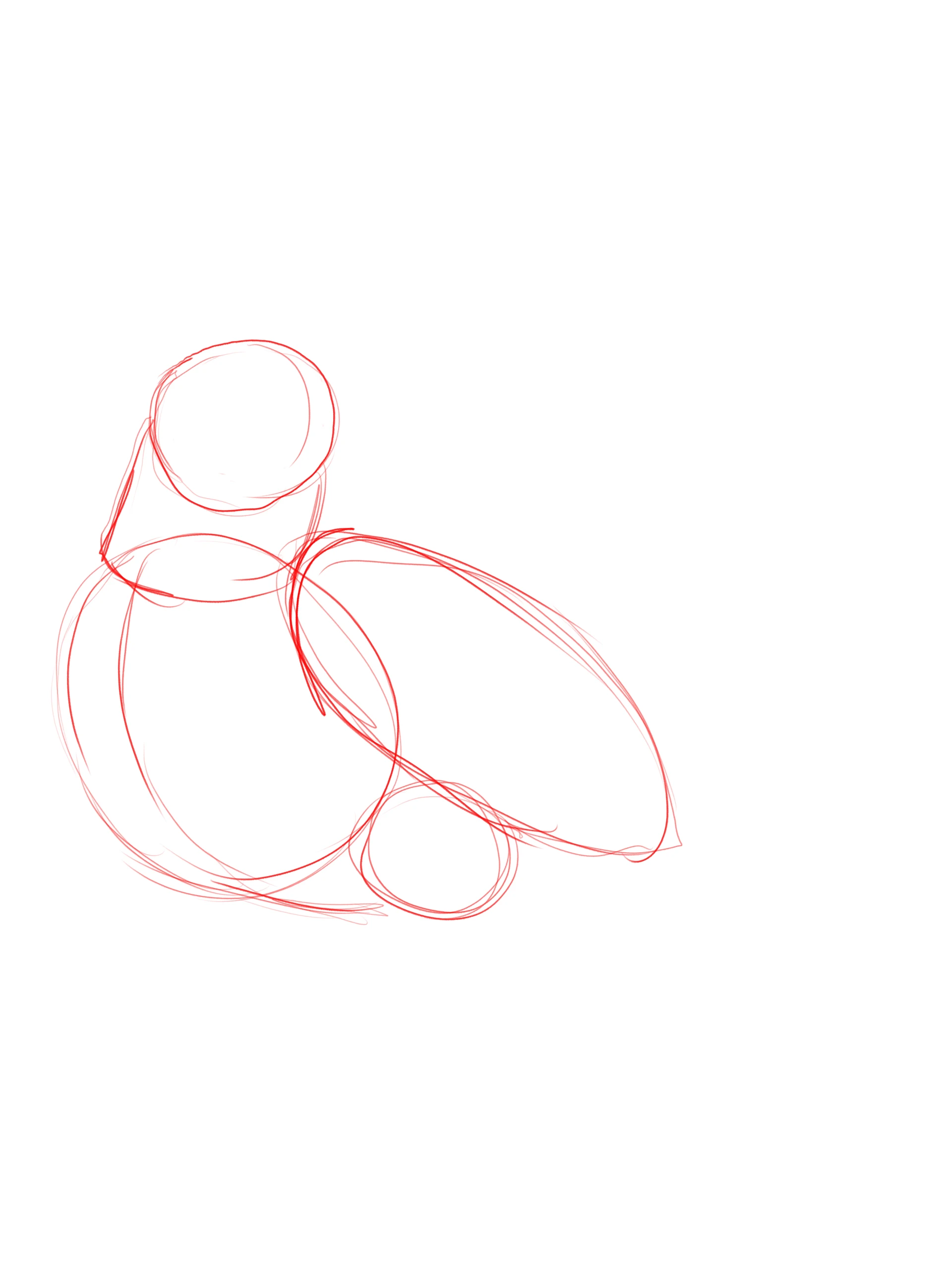dessiner la structure d’un merle