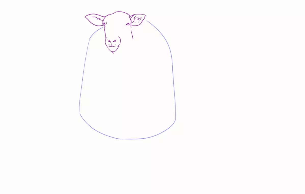 dessin du buste d’un mouton