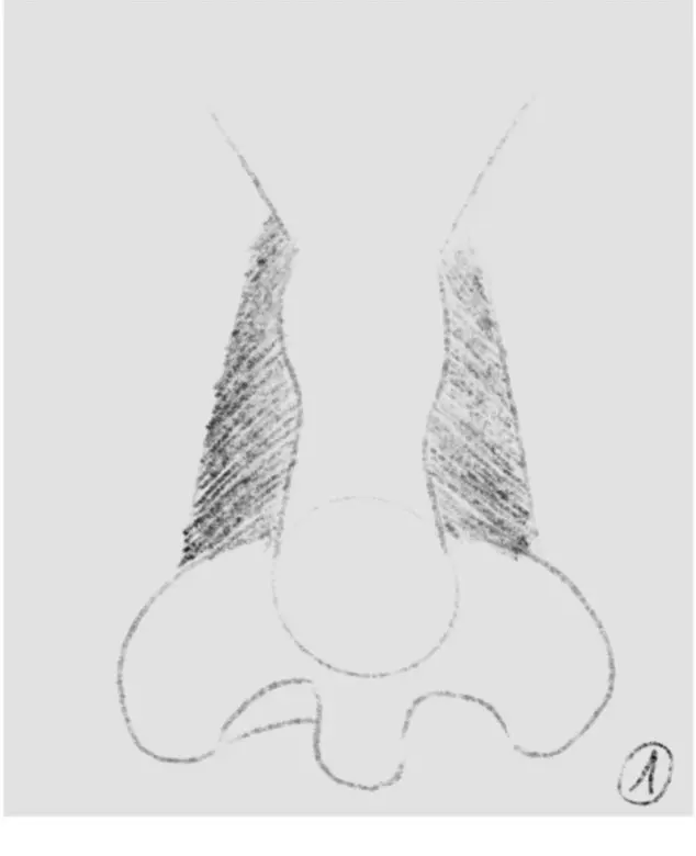 dessiner l’ombrage des côtés d’un nez de face