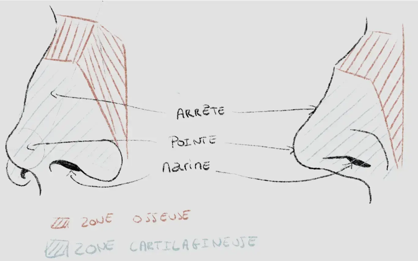 Comment Dessiner Un Nez De Face Blog Dessindigo