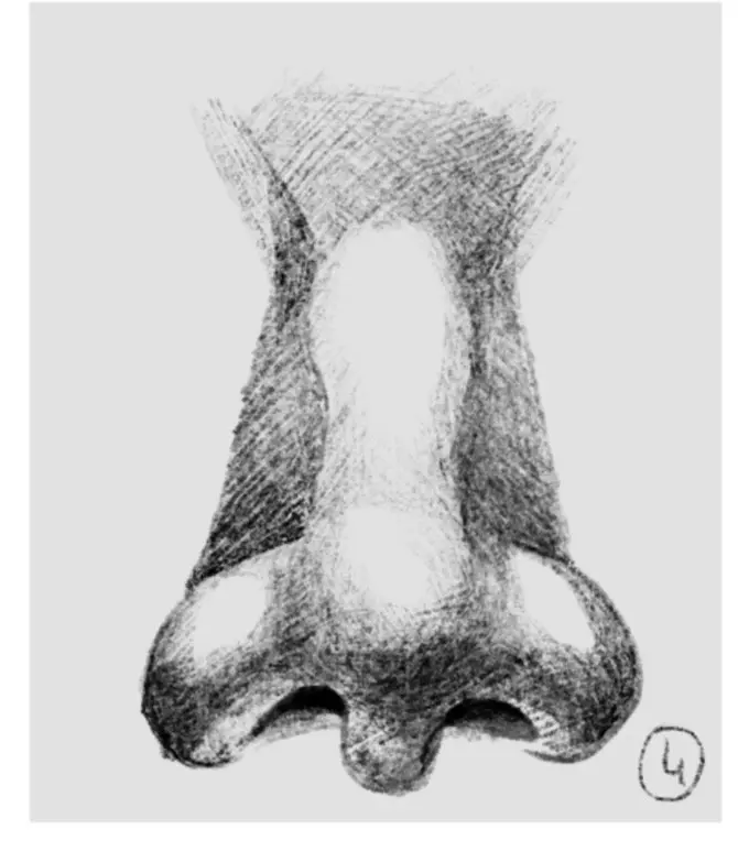 dessiner un nez de face