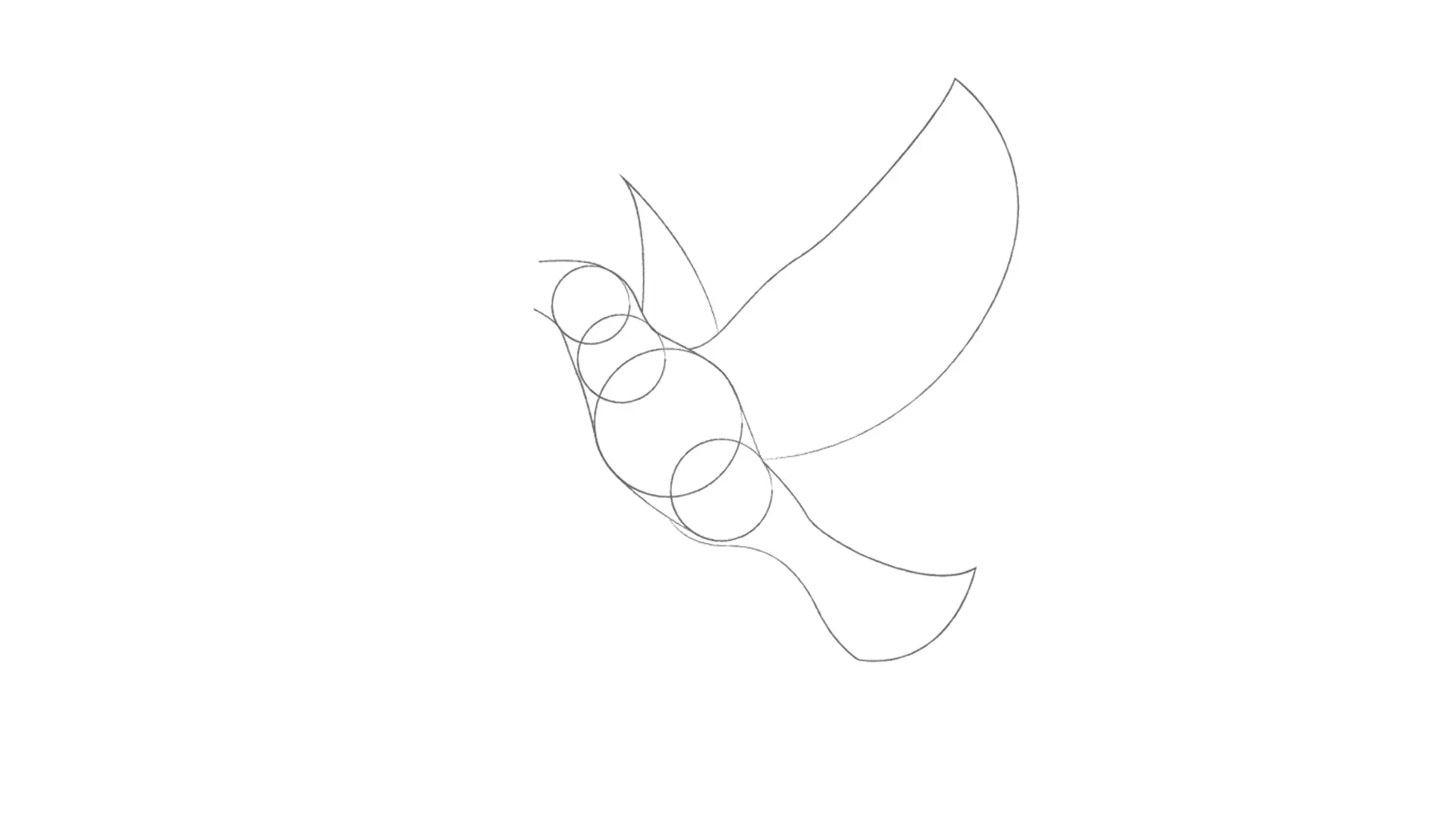 dessin des ailes d’un oiseau en vol