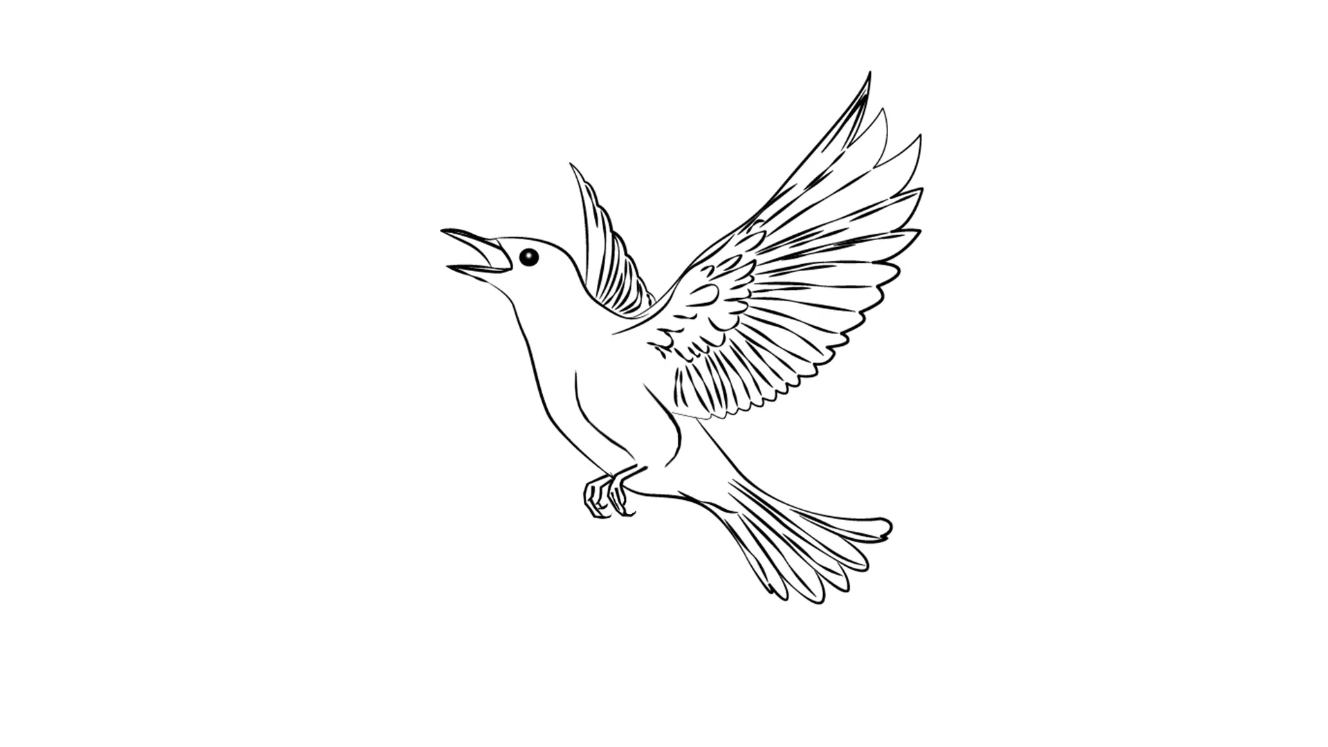 dessin d’un oiseau en vol