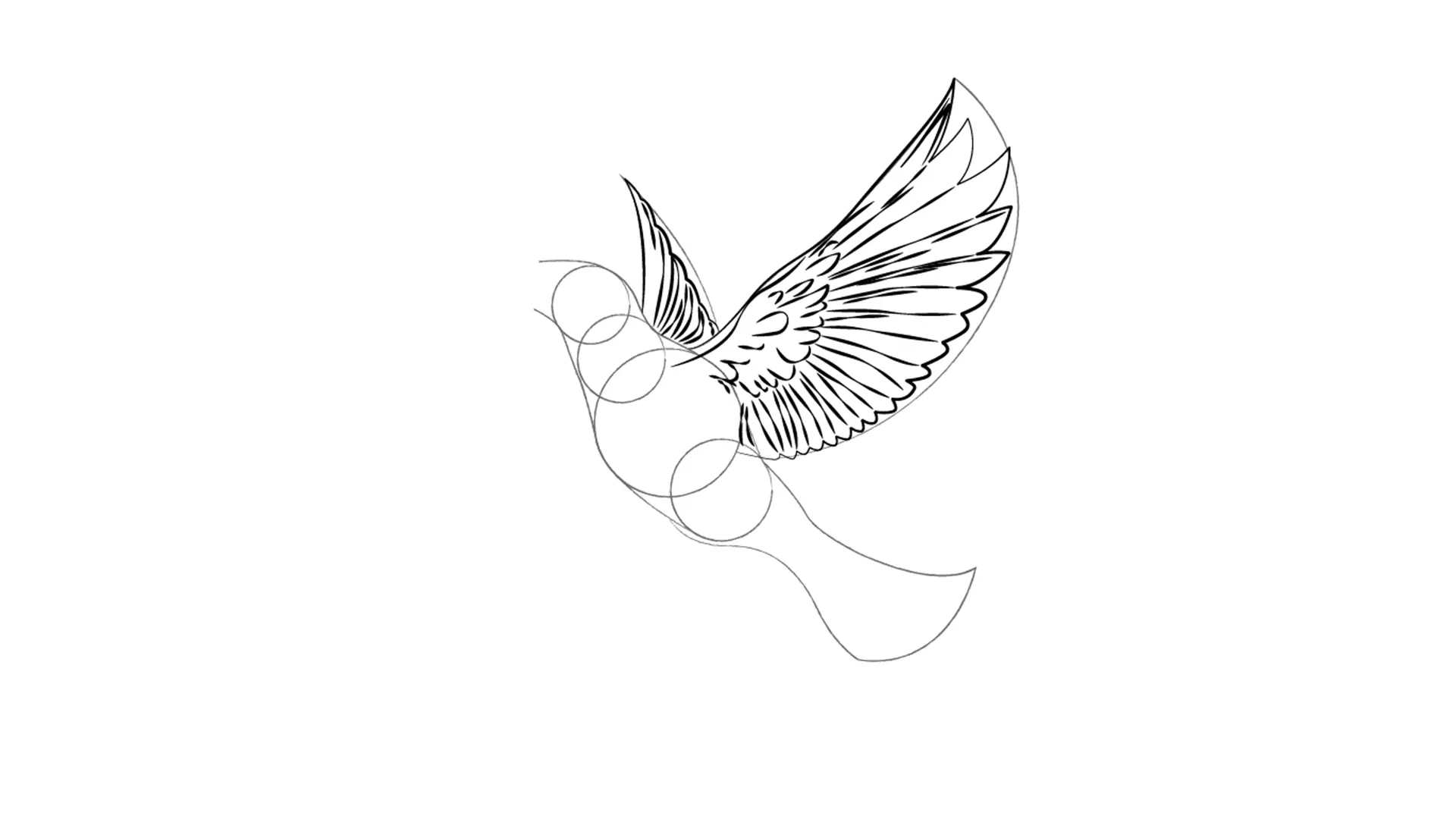 dessin des plumes d’un oiseau en vol
