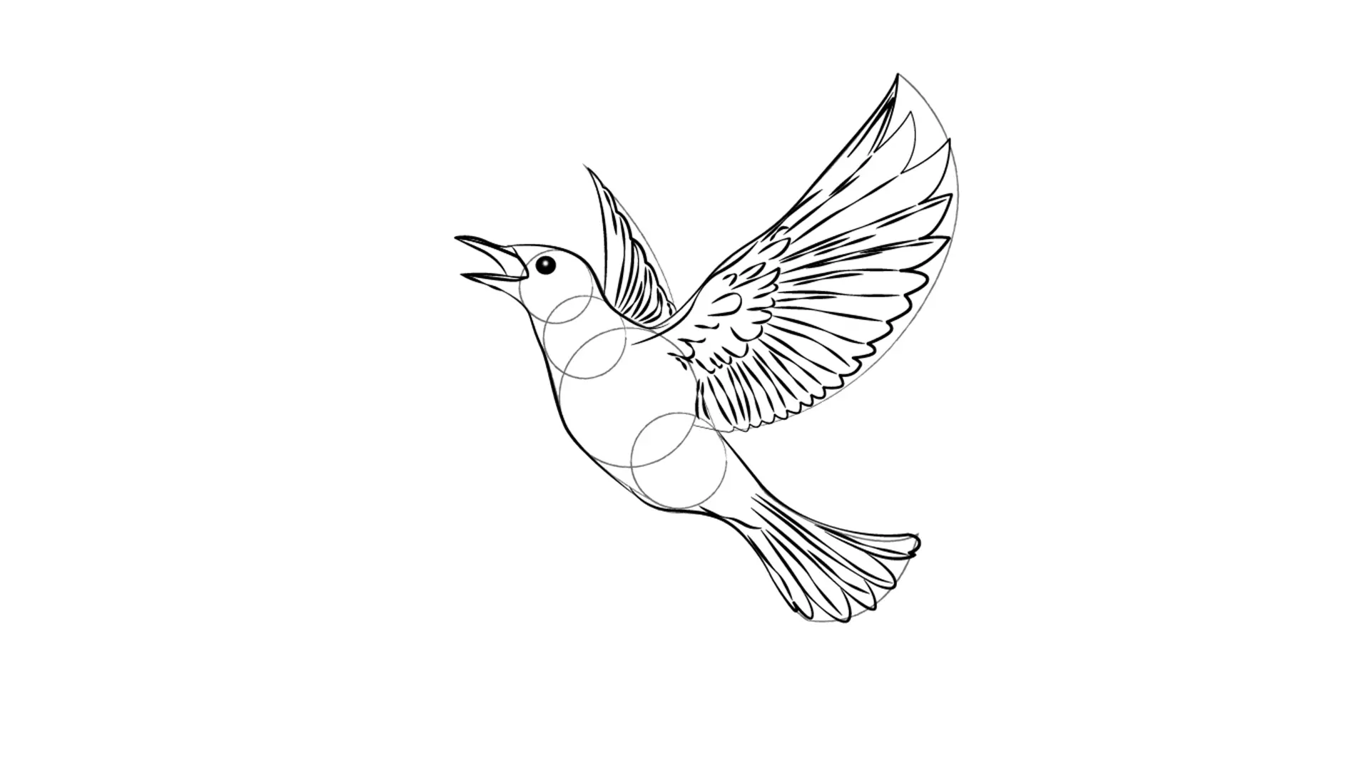 dessin de la tête d’un oiseau en vol