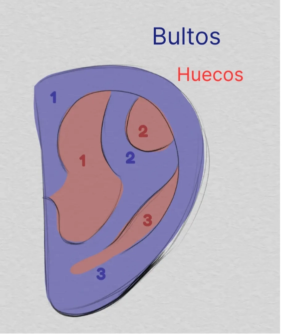 dibujar los bultos de una oreja