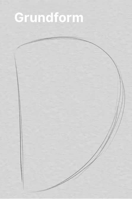 Grundform eines Ohrs zeichnen