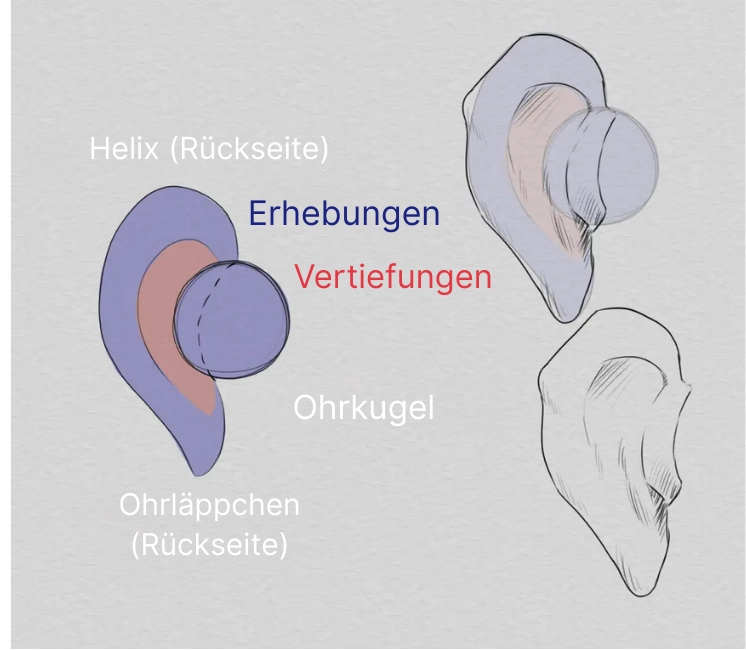 ein Ohr von hinten zeichnen