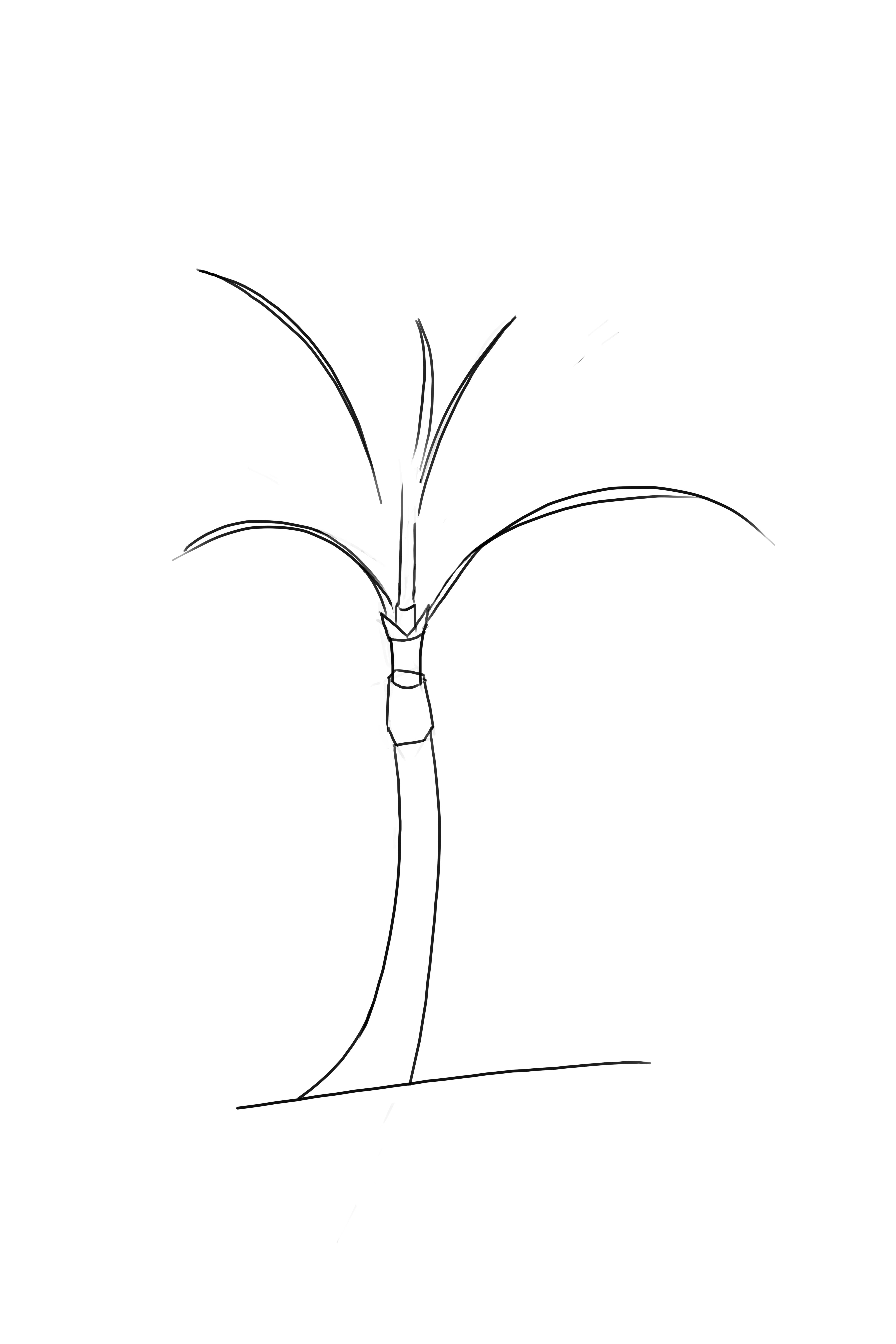 dessiner la cime du palmier 5