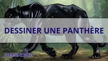 Dessiner une panthère
