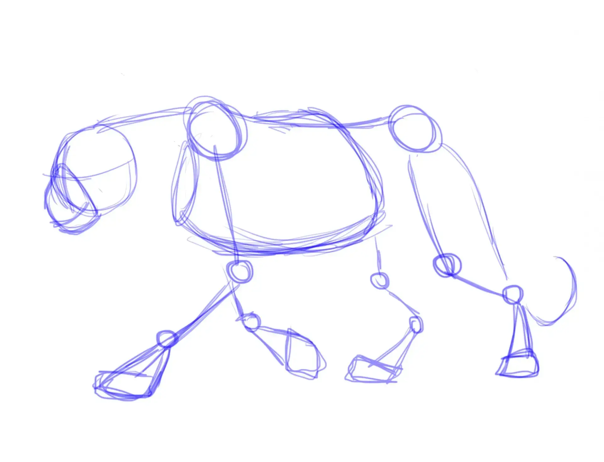 draw the body of a panther