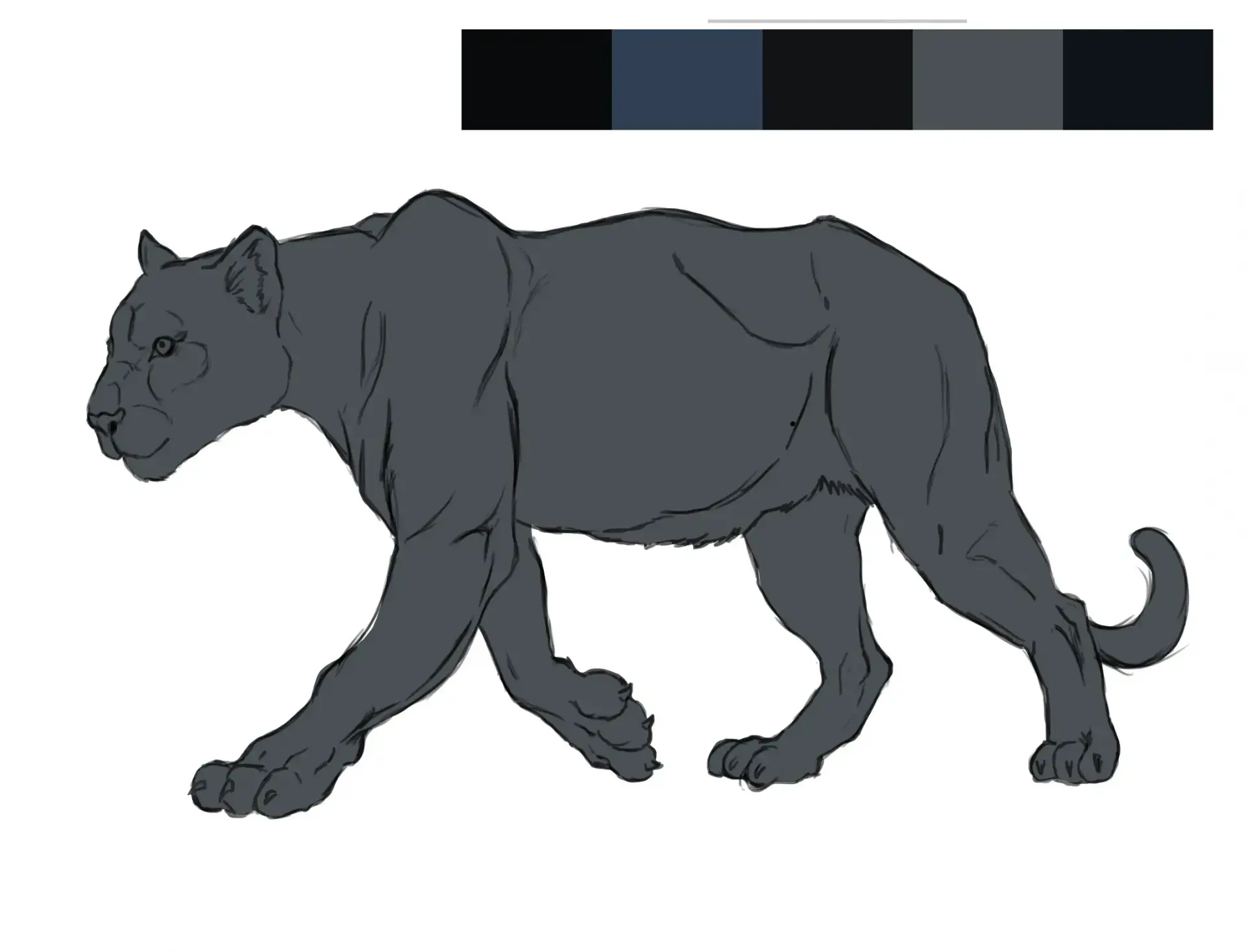draw the color of a panther
