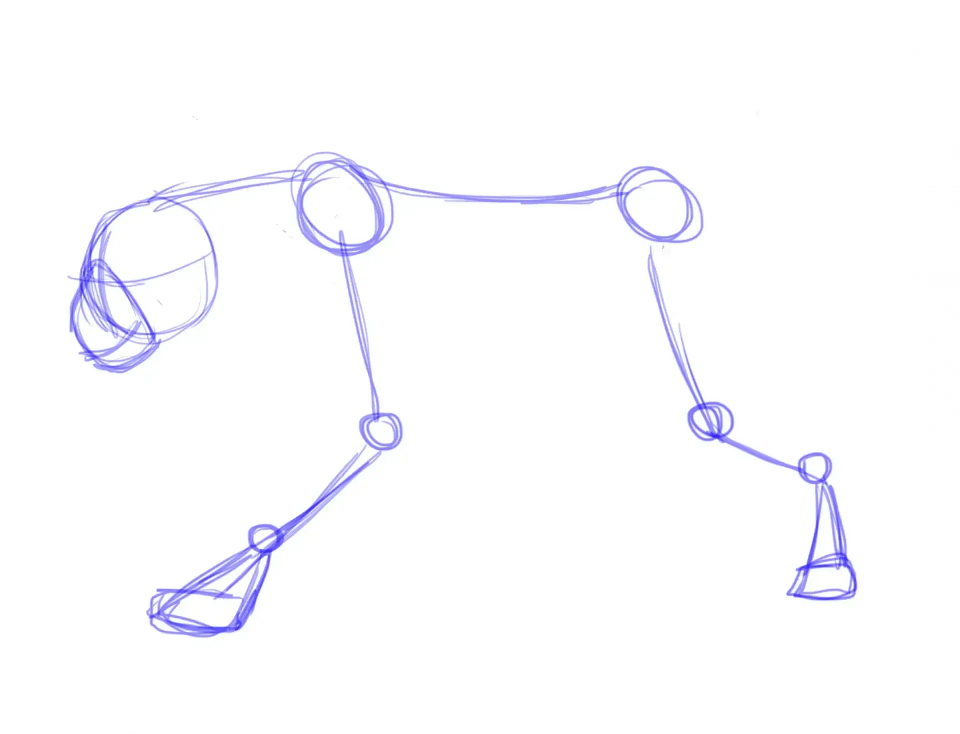 draw the muzzle of a panther