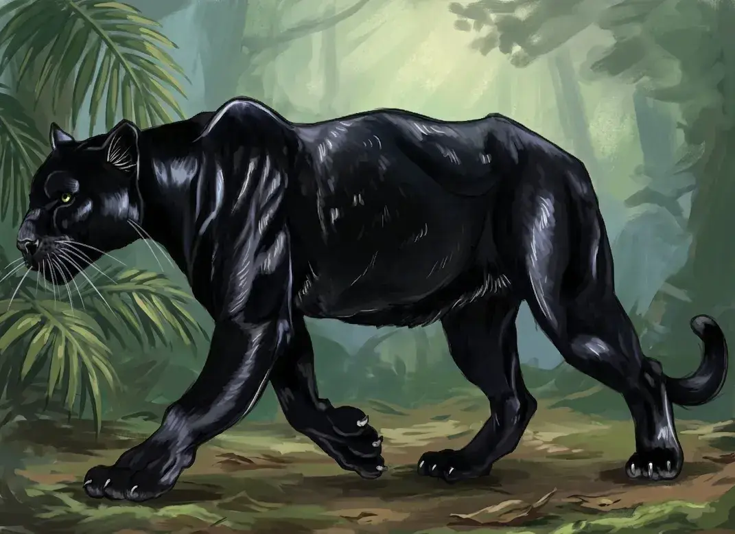 How to Draw a Panther