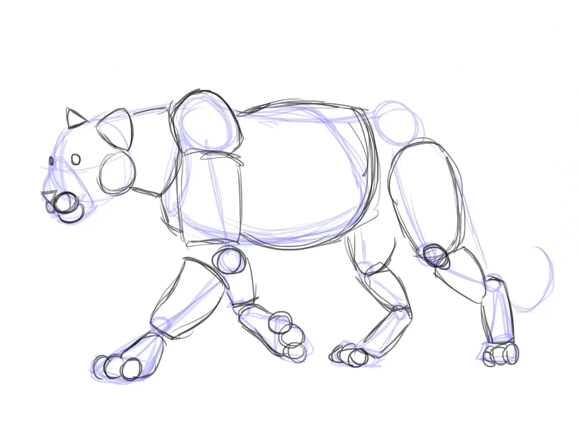 draw the legs of a panther