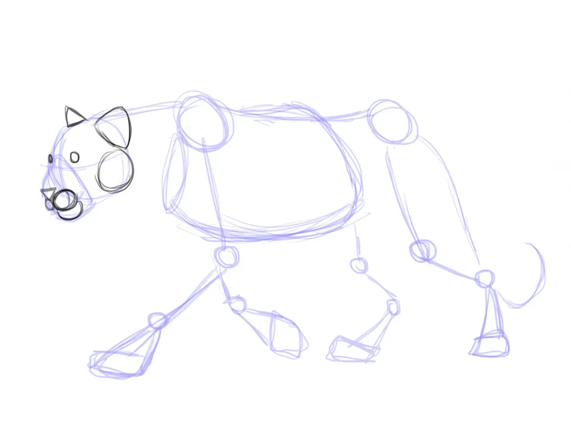 draw a panther's face
