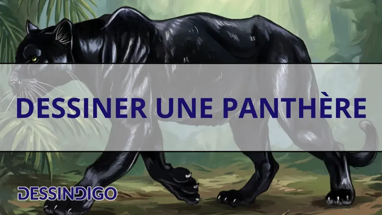 Dessiner une panthère