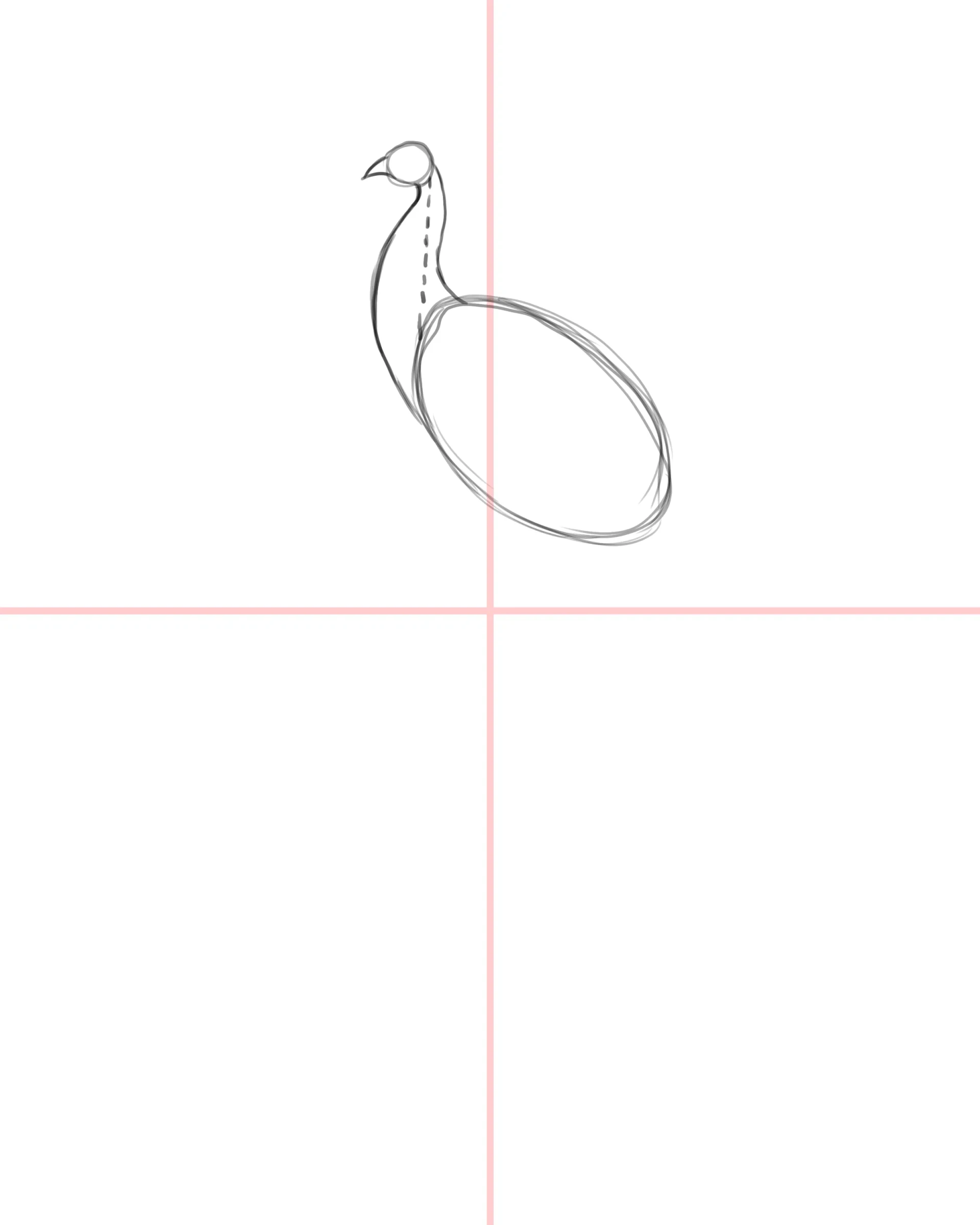 dessiner le cou d’un paon