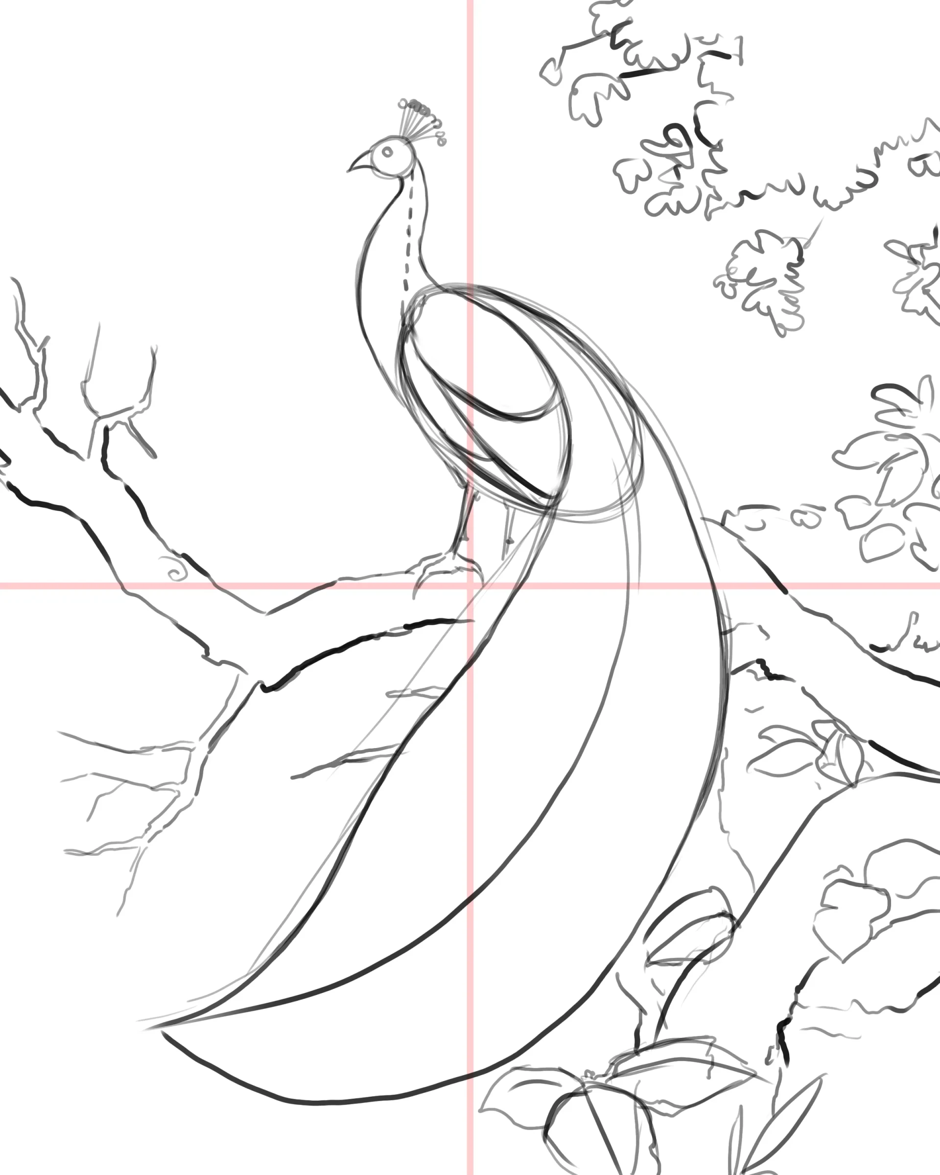 dessiner le croquis d'un paon