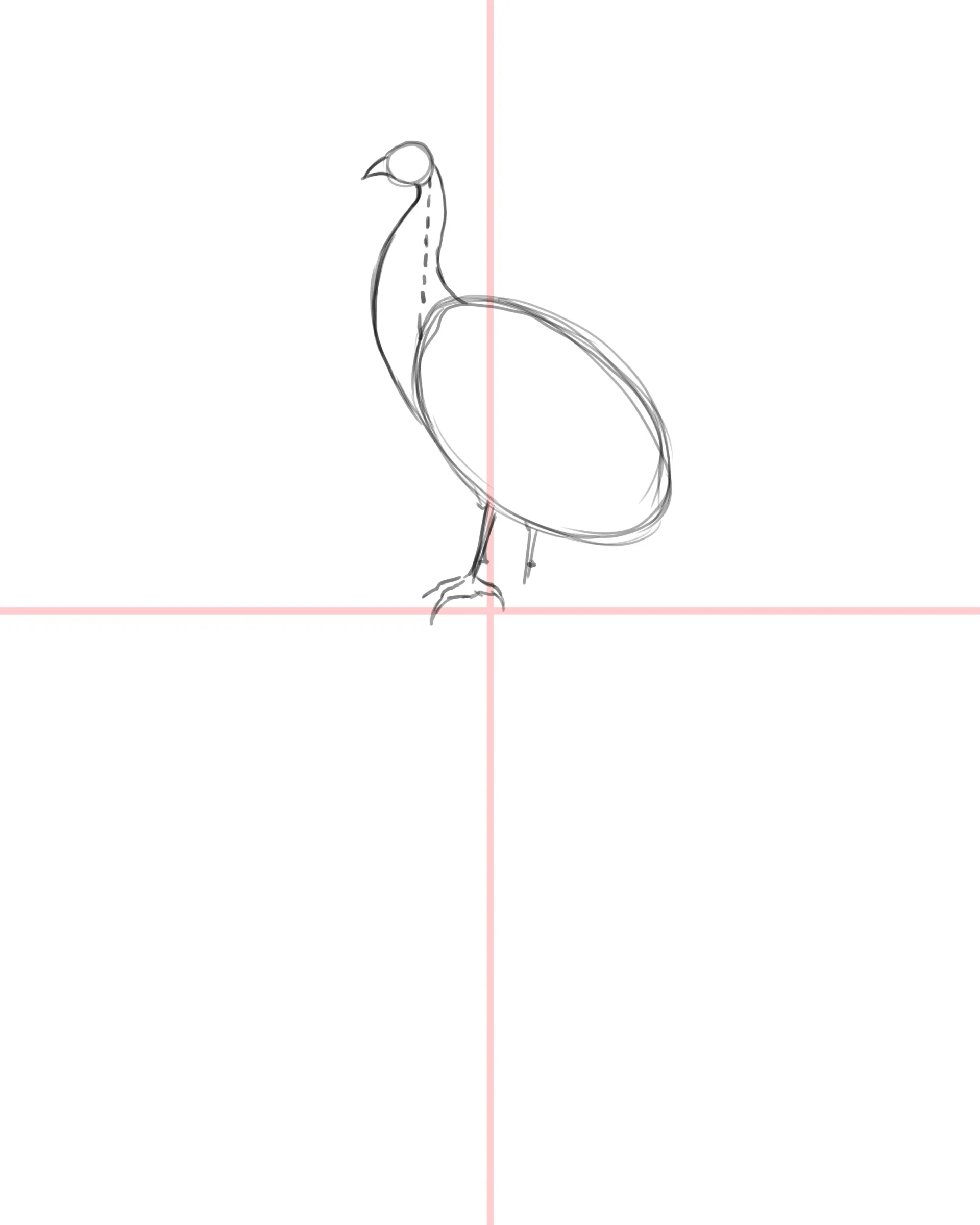 dessiner les pattes d’un paon