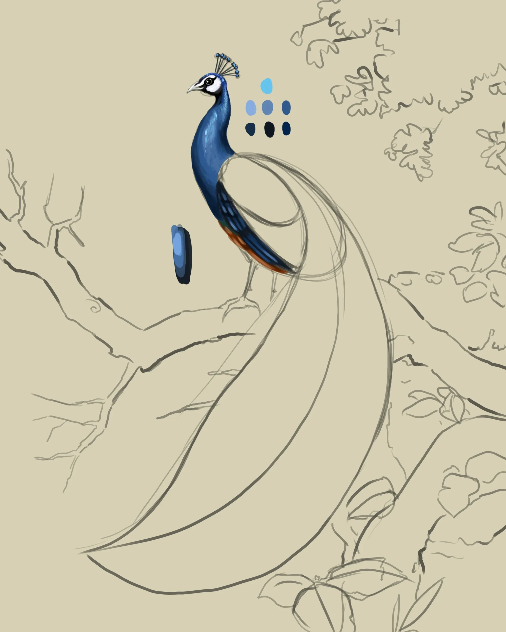dessiner les plumes intérieurs d’un paon