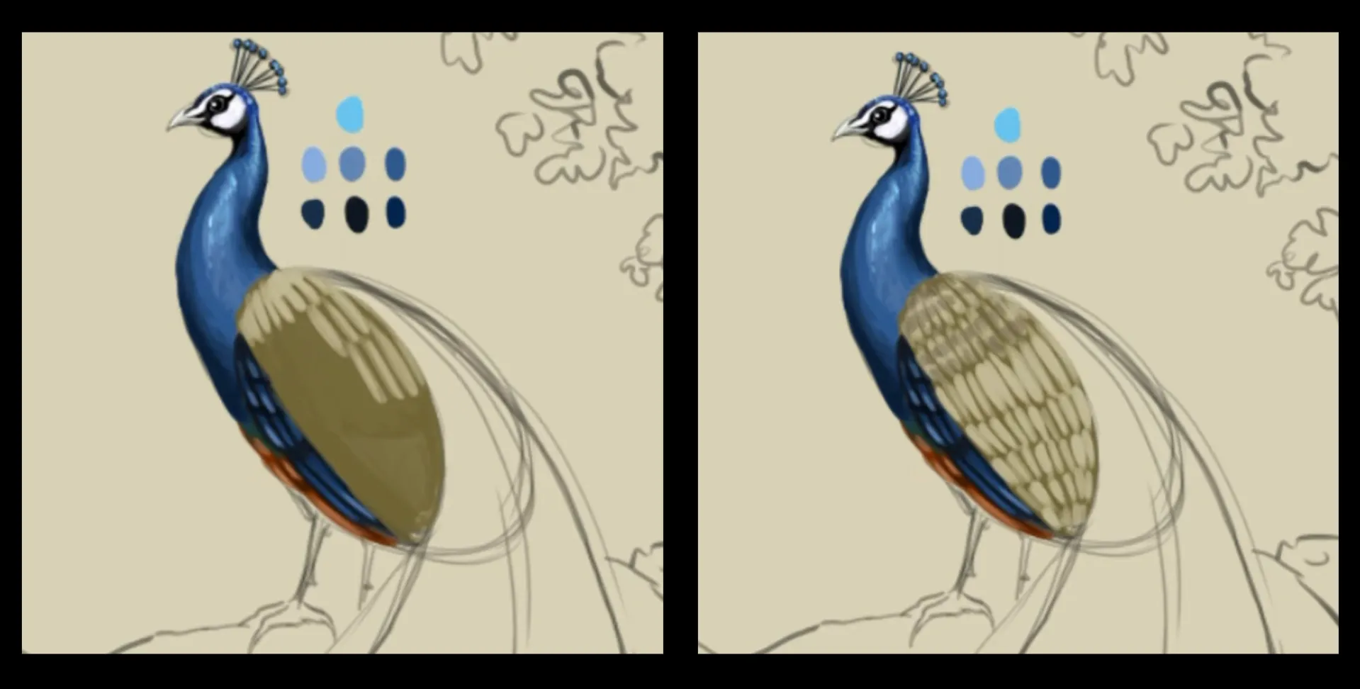 dessiner les plumes supérieurs d’un paon