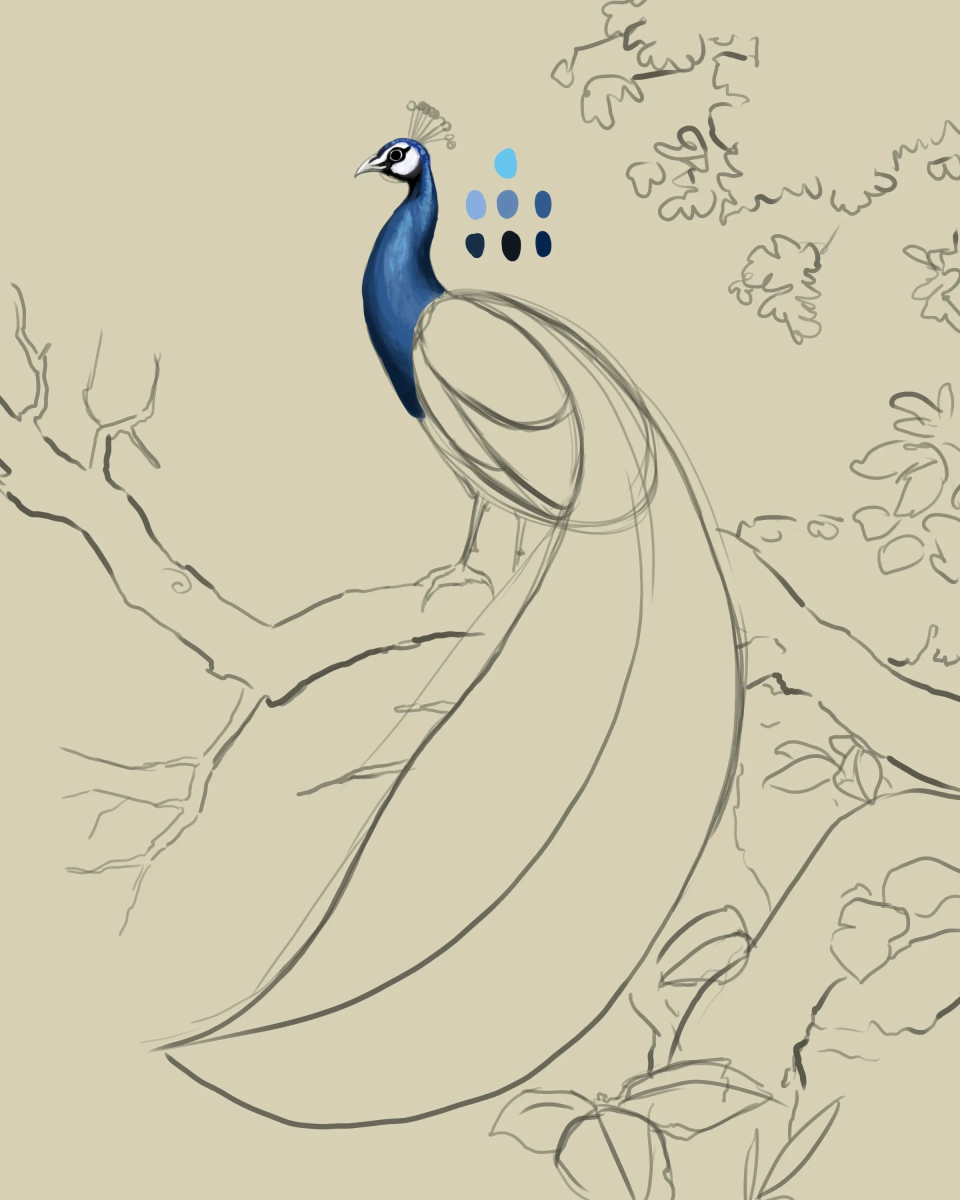 dessiner la tête d’un paon